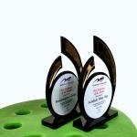 Custom Acrylic Trophies Designs